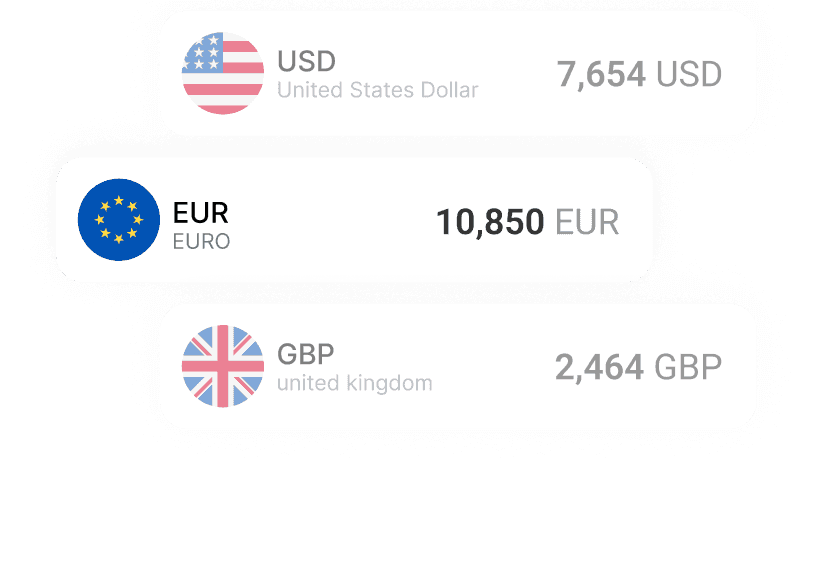 Multi-Currency Accounts